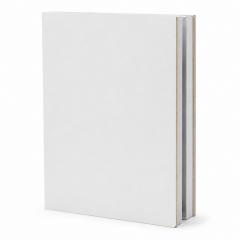 clean room wall panels